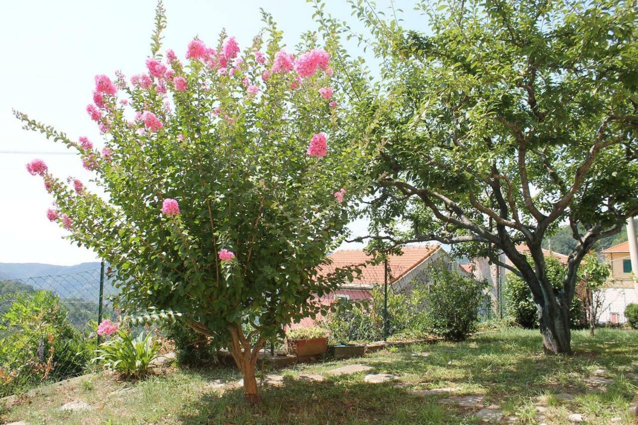 La Casetta Di Graziella Apartment Vezzi Portio Exterior photo